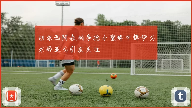 切尔西阿森纳争抢小蜜蜂中锋伊戈尔蒂亚戈引发关注
